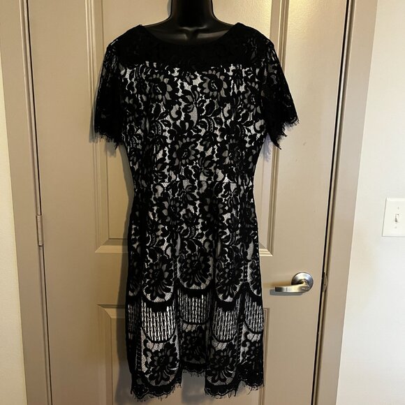 NWOT Women's Black Lace Dress - Picture 5 of 8